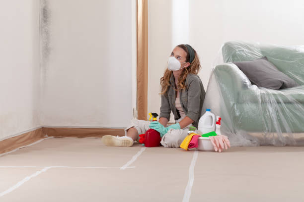 Mold Removal service in Newton